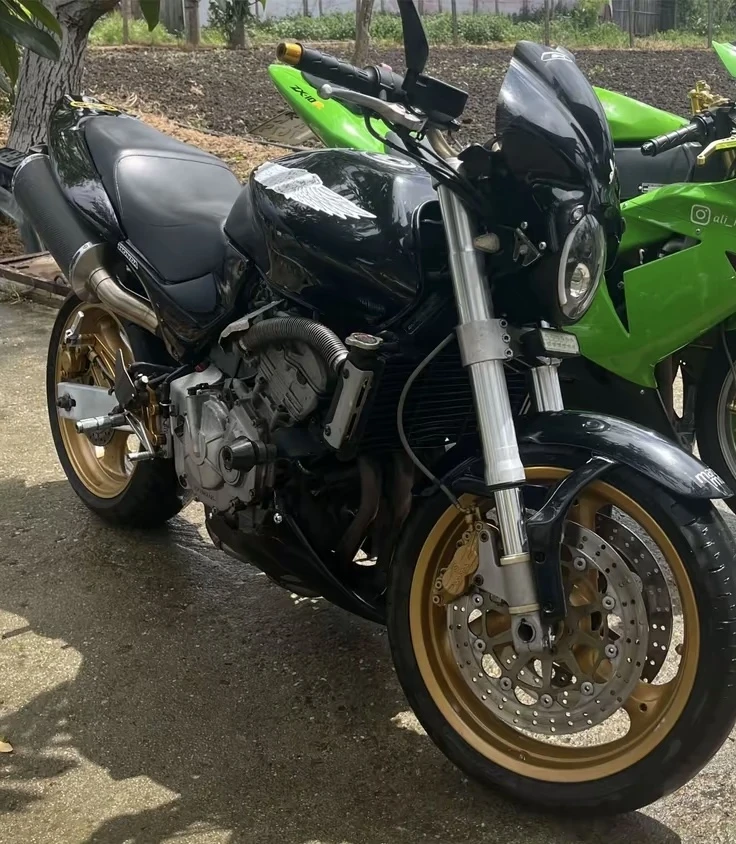 Honda Hornet 600, снимка 6 - Мотоциклети и мототехника - 54691847