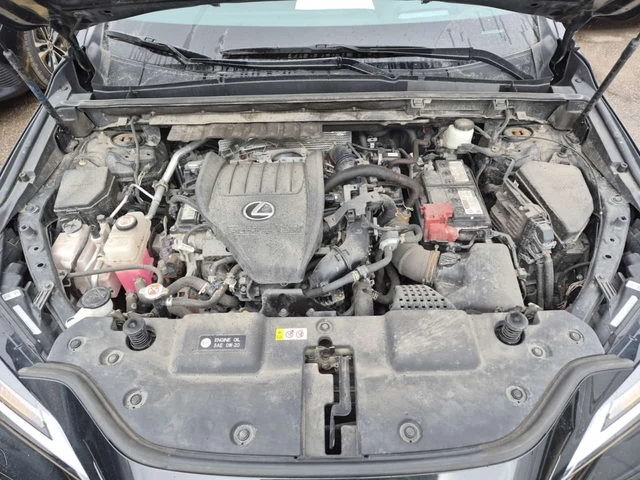 Lexus NX 350h F SPORT  CARFAX, снимка 17 - Автомобили и джипове - 53914806