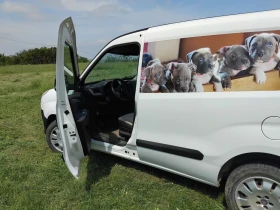 Fiat Doblo   | Mobile.bg    7