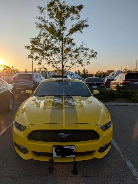 Ford Mustang * EcoBoost Premium * CARFAX * БЕЗ ПЪРВОНАЧАЛНА ВНО - изображение 5