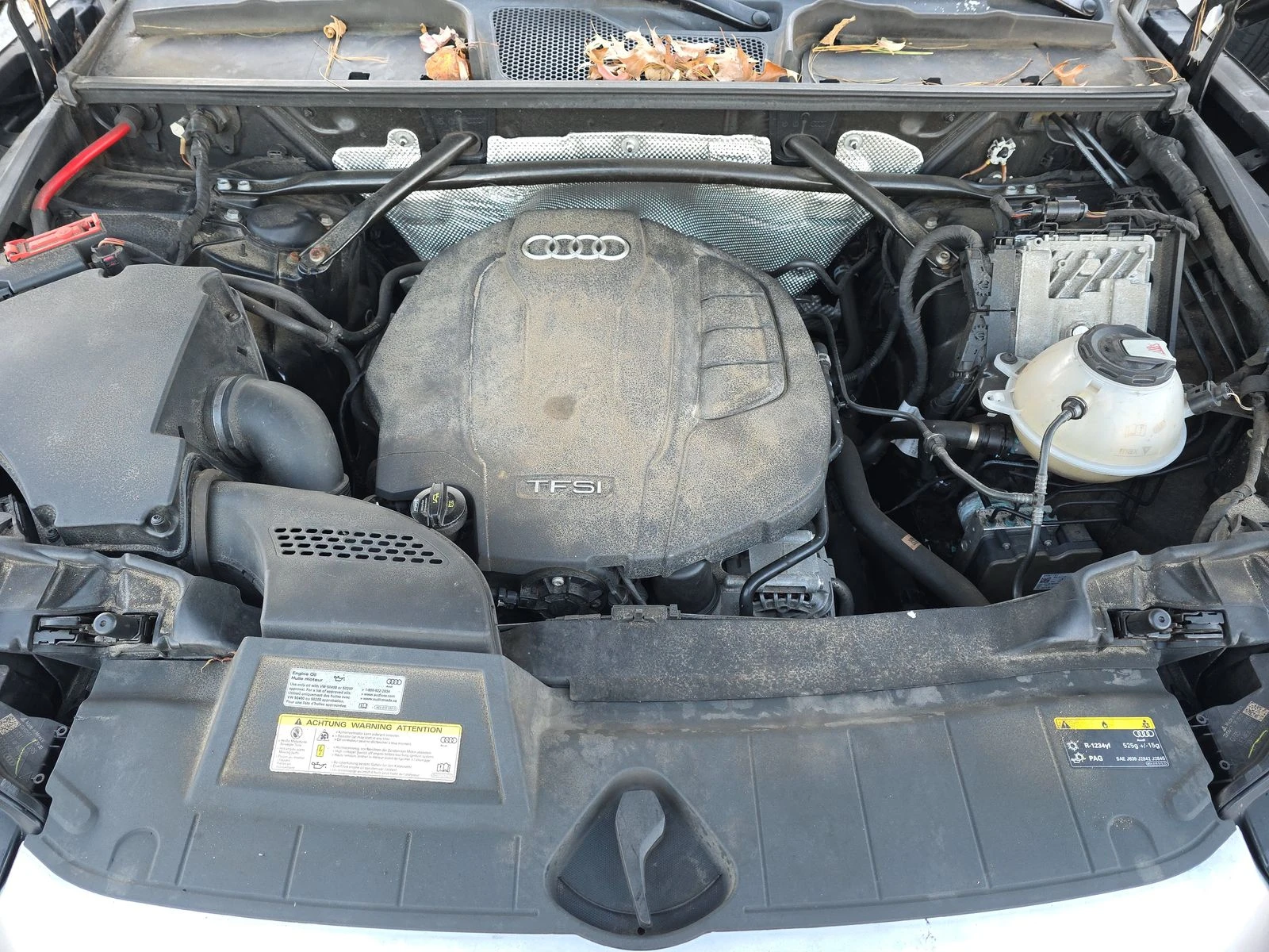 Audi Q5 2.0T* ���������* �����* �������* ������* �����* �� | Mobile.bg � ����������� 17