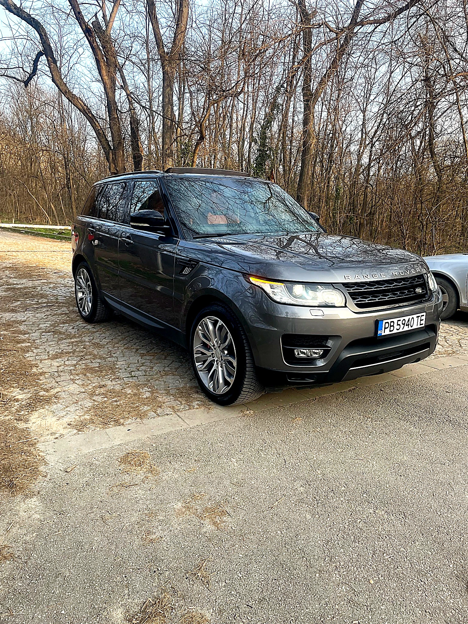 Land Rover Range Rover Sport Range Rover Sport 3.0 HSE Dynamic