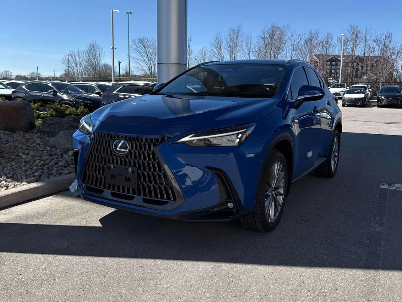 Lexus NX 350h  CARFAX