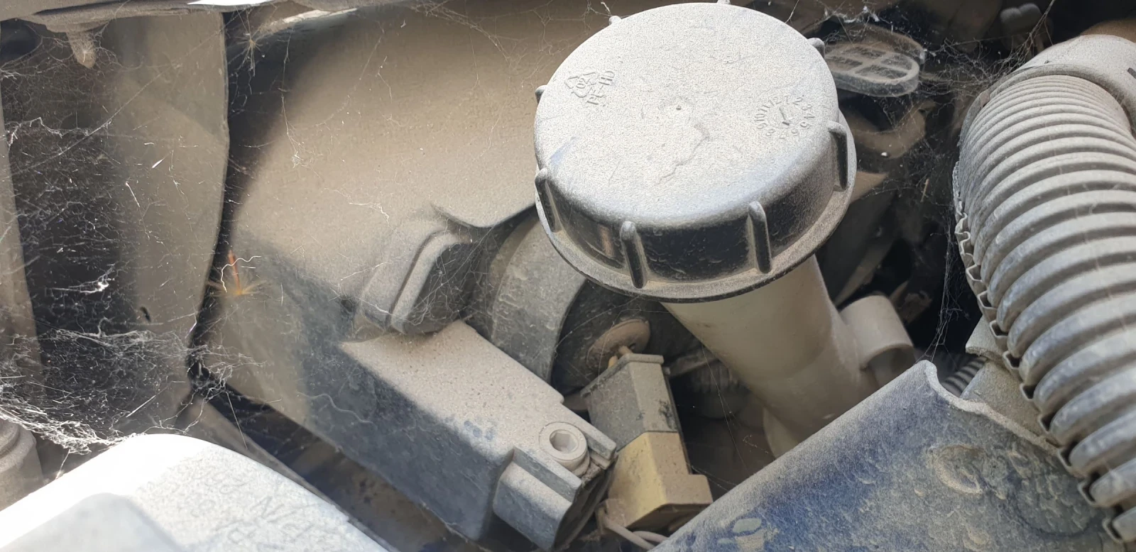 ������ �� ���� 206 | Mobile.bg � ����������� 5