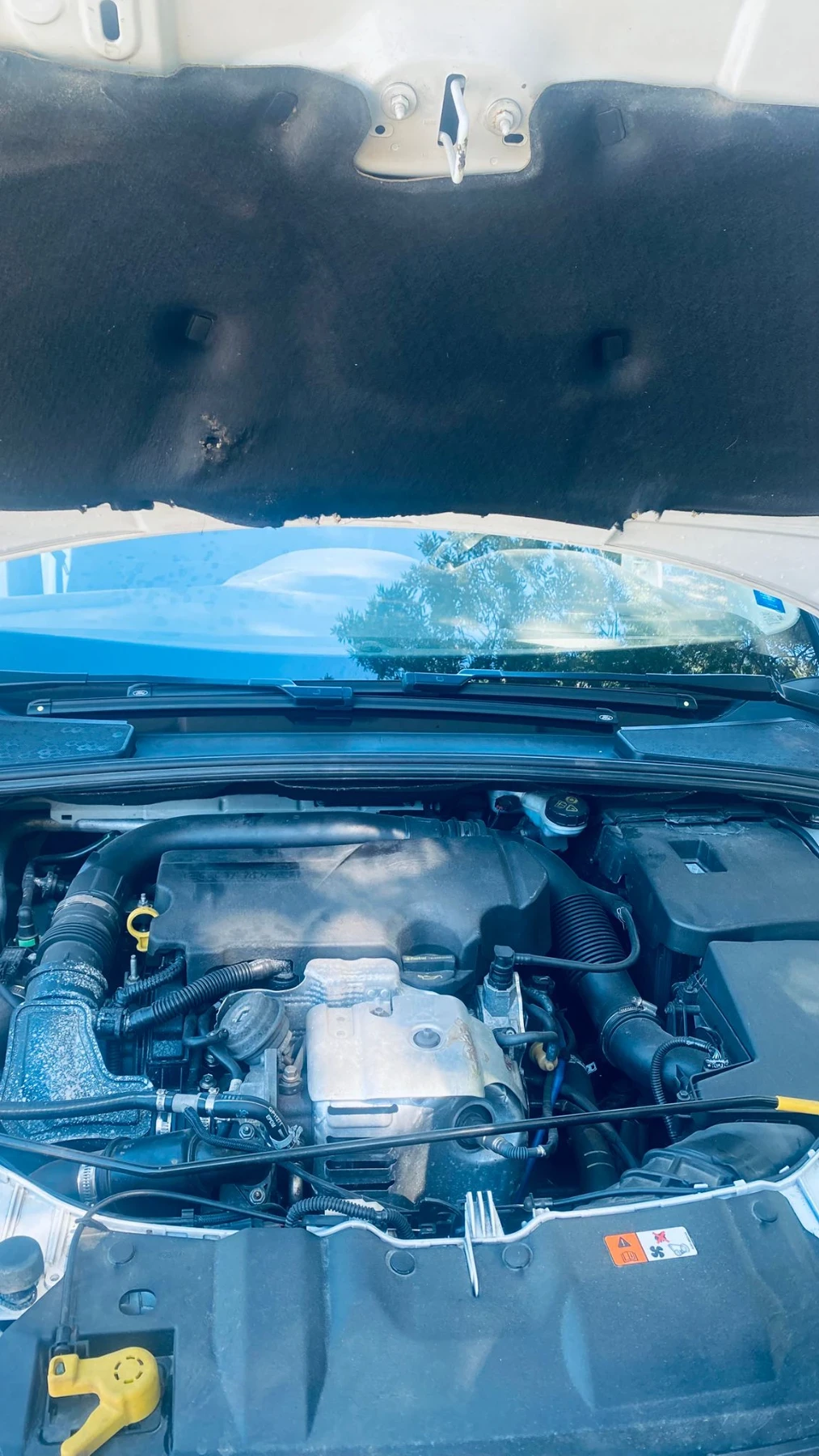 Ford Focus, снимка 16 - Автомобили и джипове - 55834333