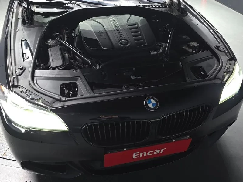 BMW 530 D xDrive M, снимка 6 - Автомобили и джипове - 55831436
