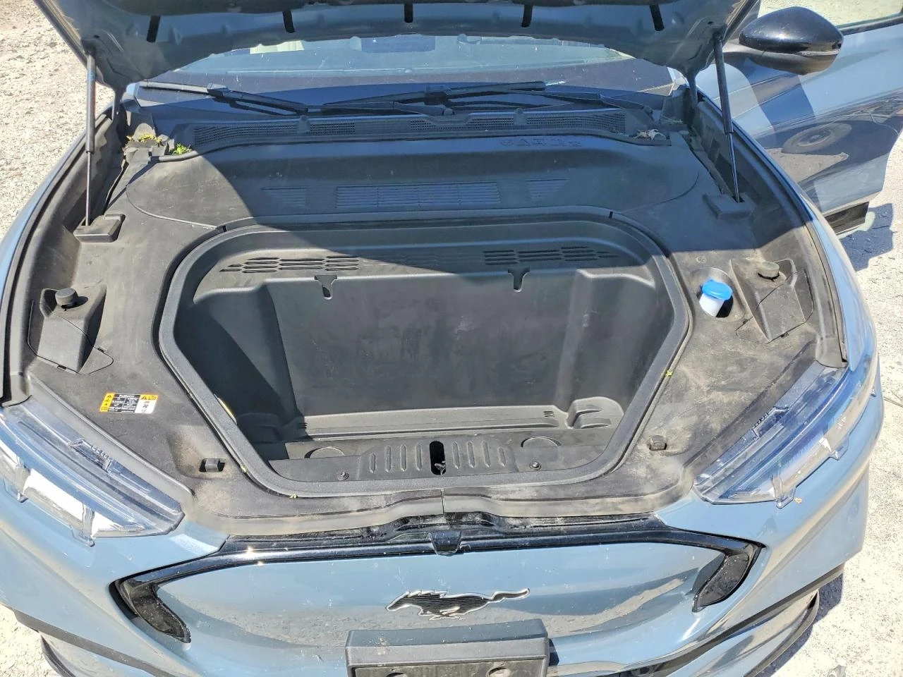 Ford Mustang Mach-E Premium | Mobile.bg � ����������� 12