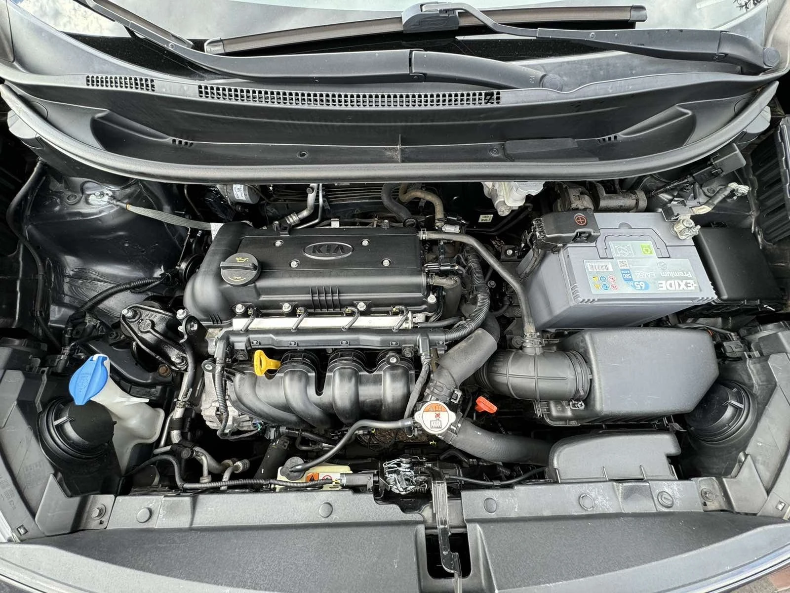 Kia Rio 1.4 CVVT Style, 109 . | Mobile.bg   14