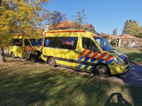 Mercedes-Benz Sprinter 319 Линейка , снимка 4