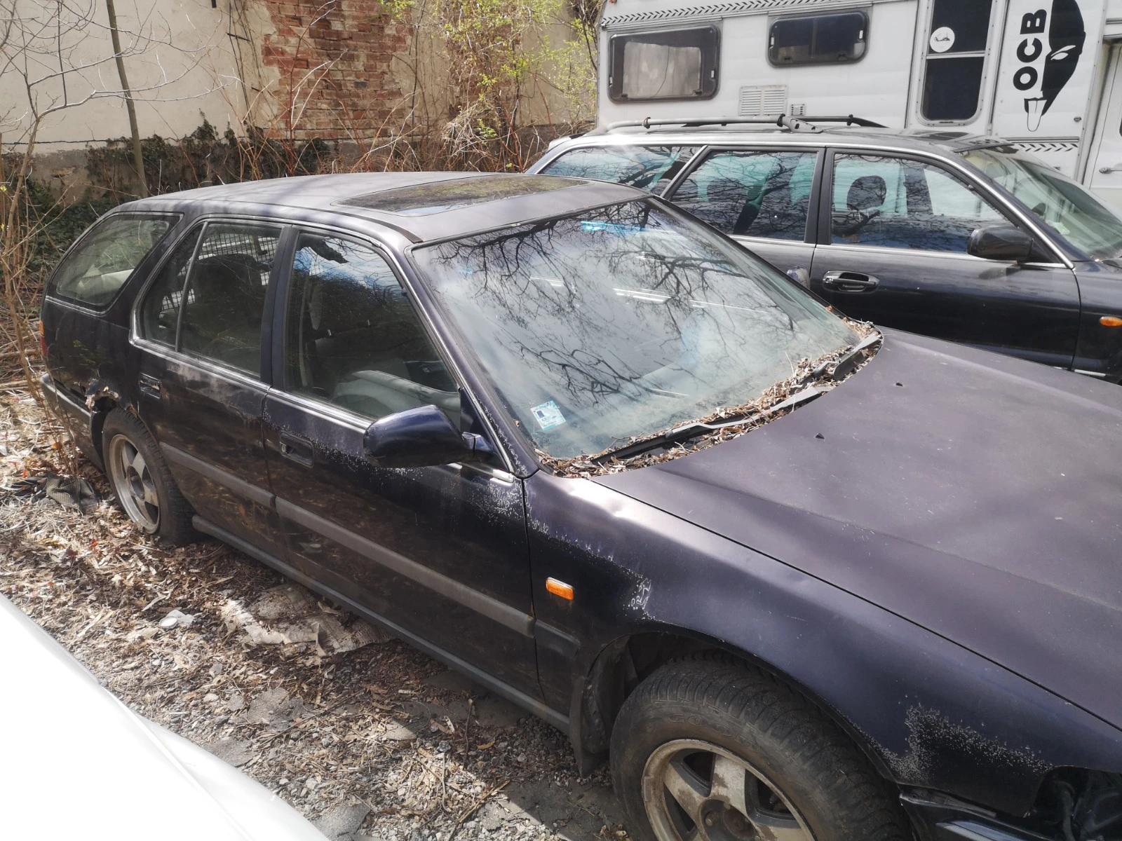 Honda Accord Aerodeck | Auto.bg — изображение 1