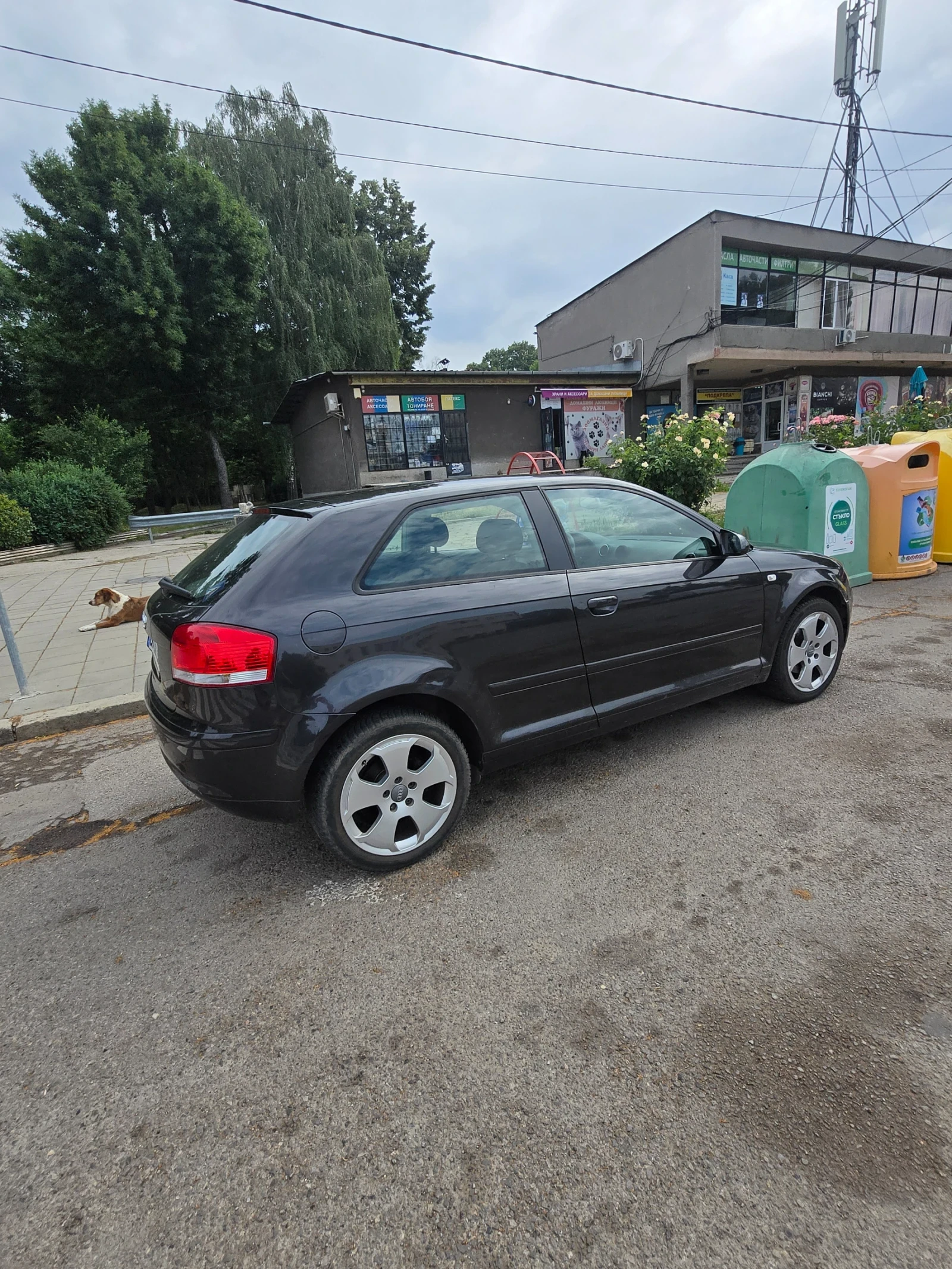 Audi A3 1.9 тди 105к.с. 2007г., снимка 5 - Автомобили и джипове - 55129222