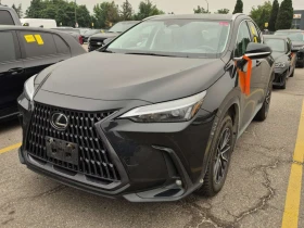 ������ Lexus NX