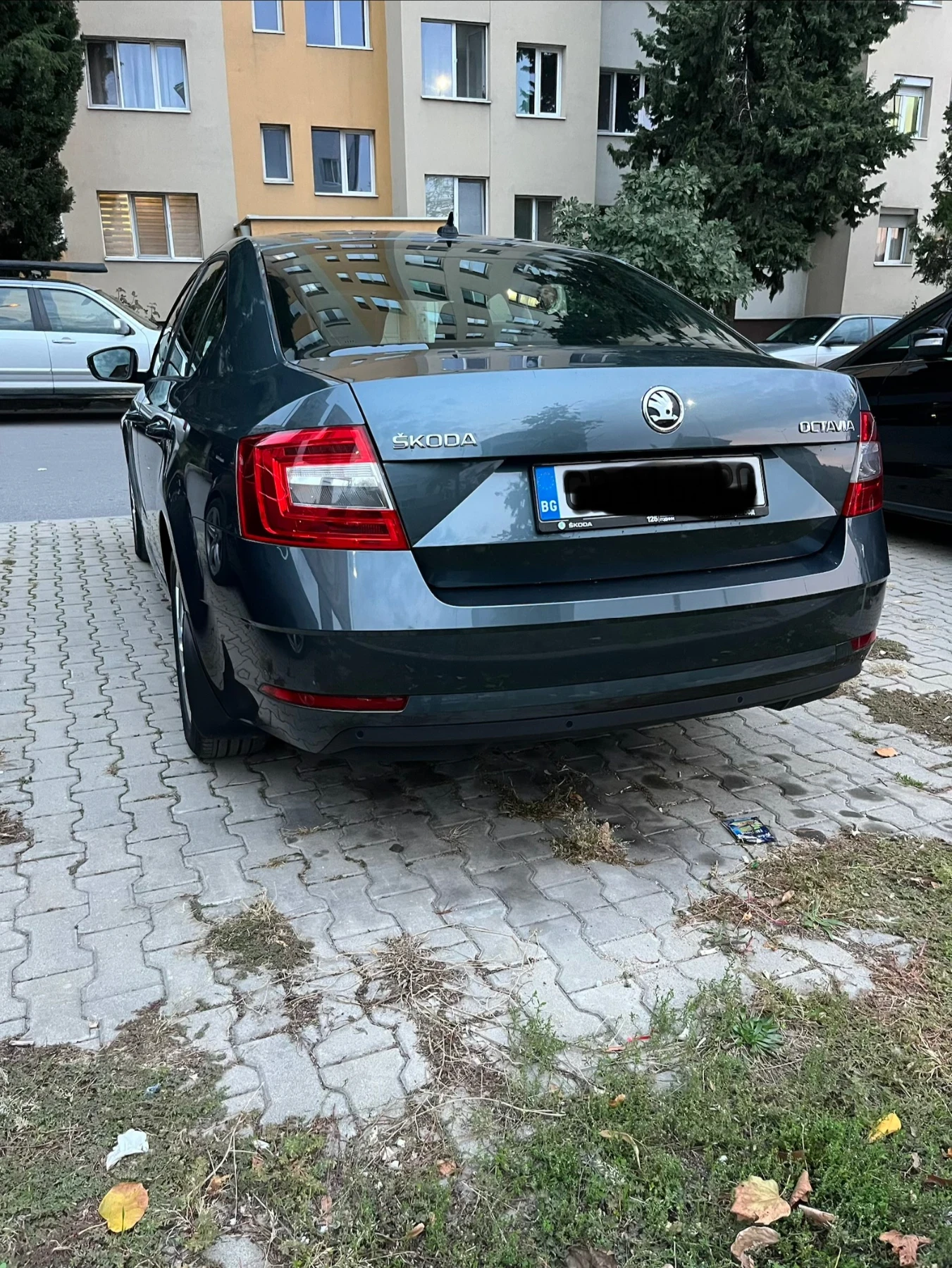 Skoda Octavia, снимка 2 - Автомобили и джипове - 53843592