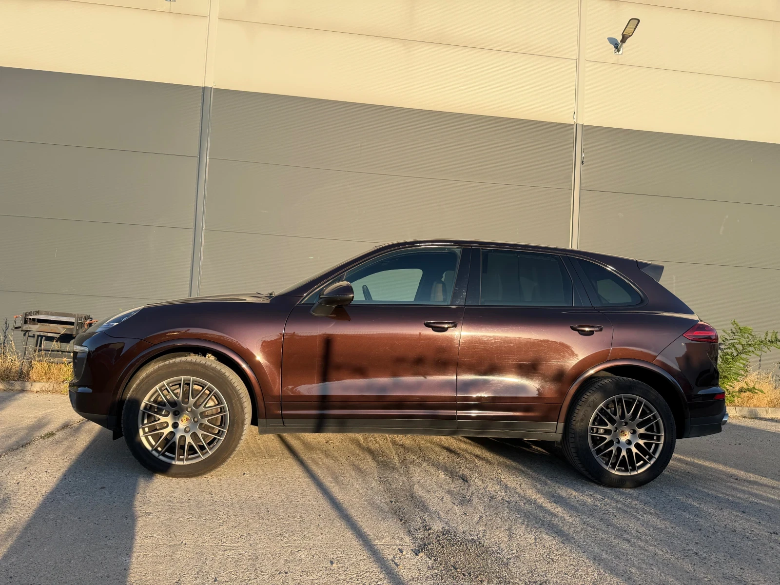 Porsche Cayenne Platinum Edition, снимка 8 - Автомобили и джипове - 54130811