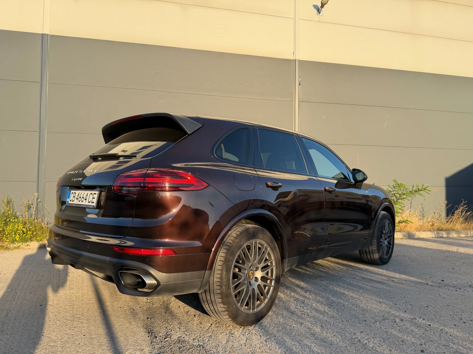 Porsche Cayenne Platinum Edition, снимка 5 - Автомобили и джипове - 54130811