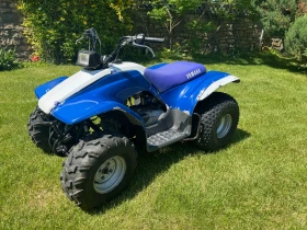     Yamaha Brrees