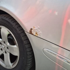 Mercedes-Benz E 220, снимка 8