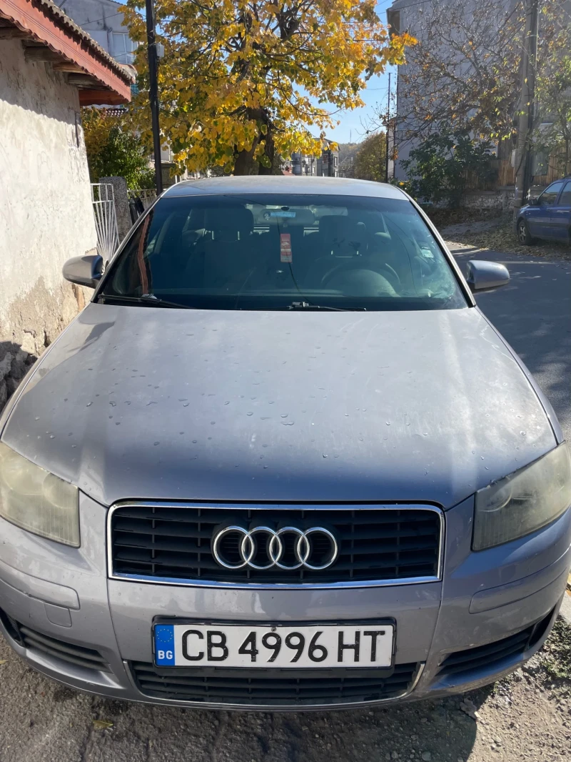 Audi A3 1.6, Бензин/Газ, снимка 1 - Автомобили и джипове - 47861519