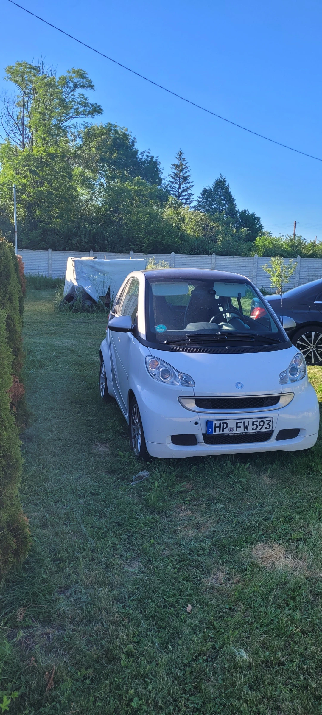 Smart Fortwo Coupe SDI, снимка 2 - Автомобили и джипове - 56741138