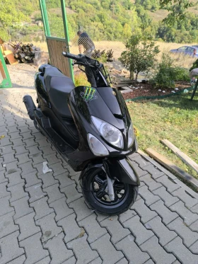 Yamaha Majesty