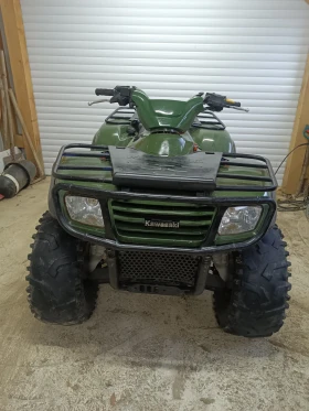  Kawasaki Brute Force