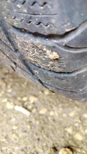 Nissan Almera tino | Mobile.bg � ����� ������ 7