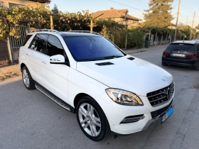 Mercedes-Benz ML 350 Панорама/ Обдух/ Вакум/ 360/ - 23333 € - 99734026 2