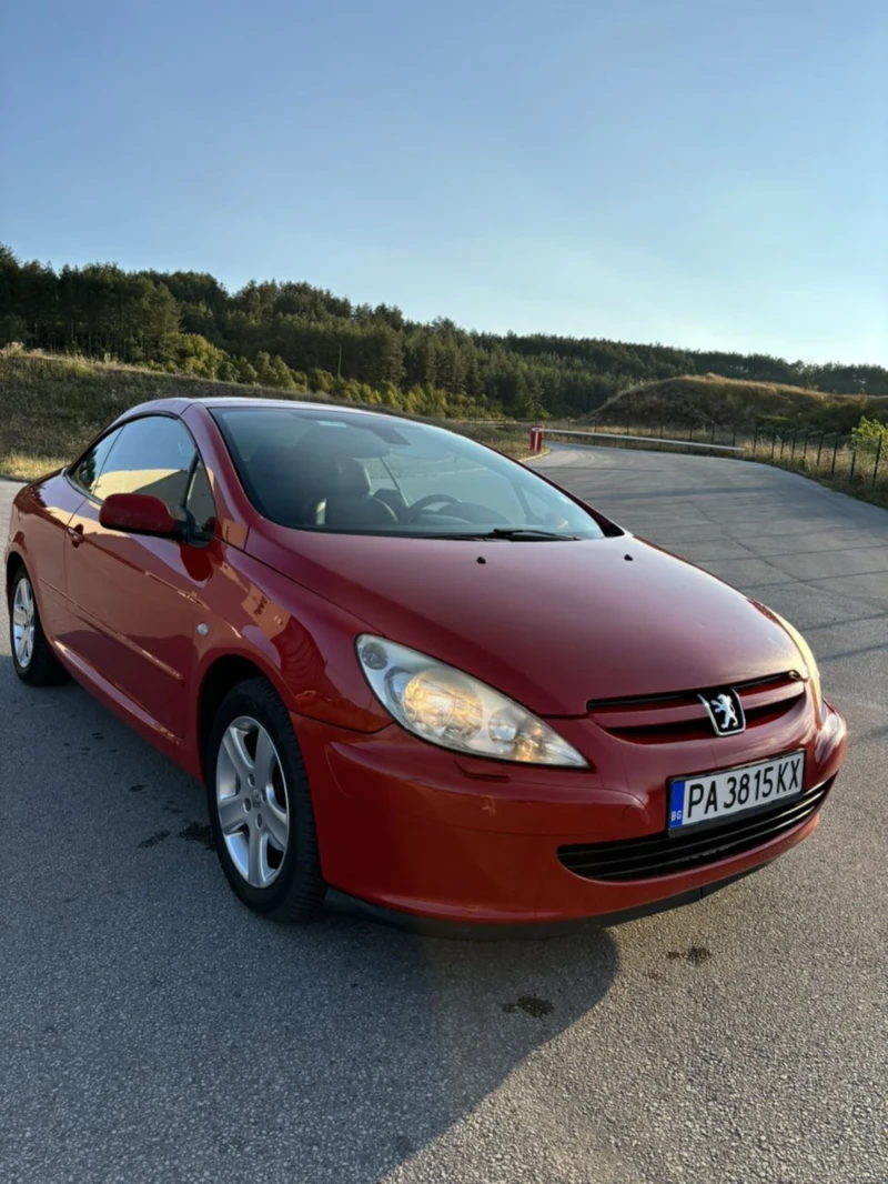 Peugeot 307, снимка 2 - Автомобили и джипове - 47471548