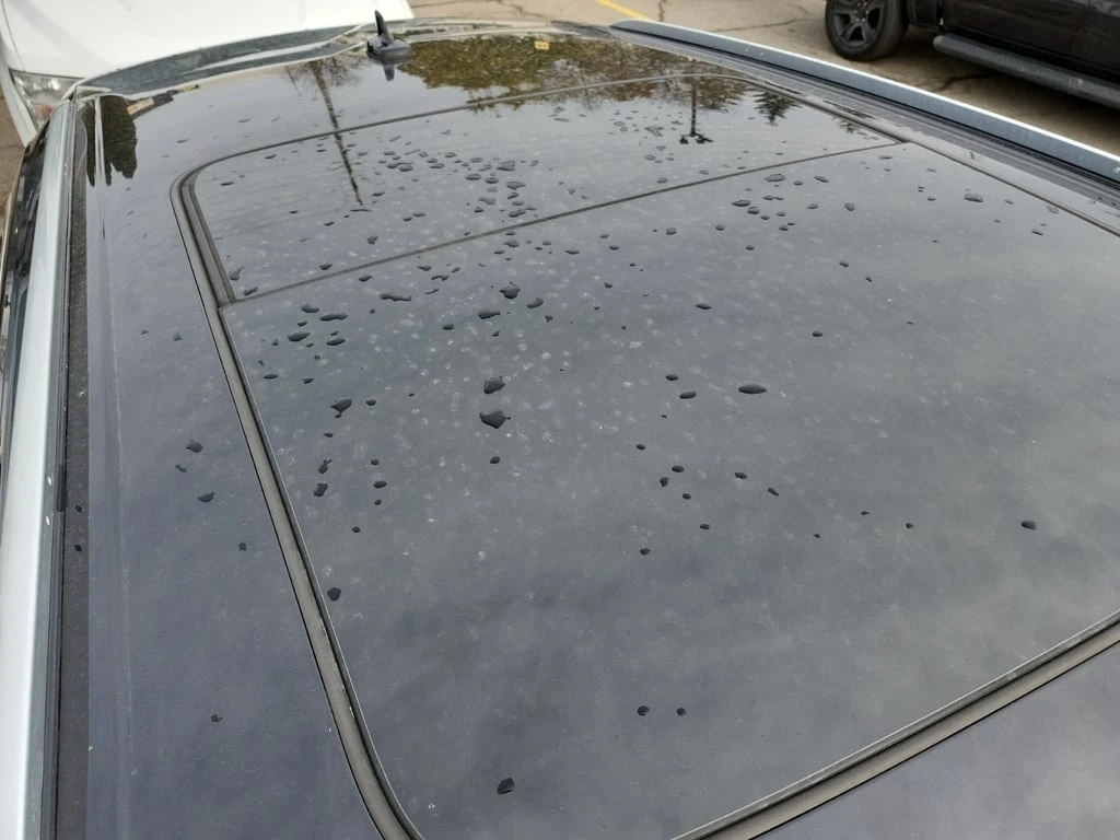 Audi Q8 * PROGRESSIV * CARFAX *    | Mobile.bg   14