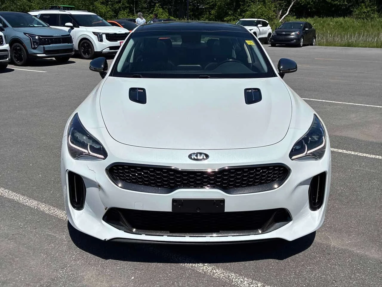 Kia Stinger GT AWD/CARFAX/ОТ ПРЕДСТАВИТЕЛСТВО , снимка 5 - Автомобили и джипове - 54853598