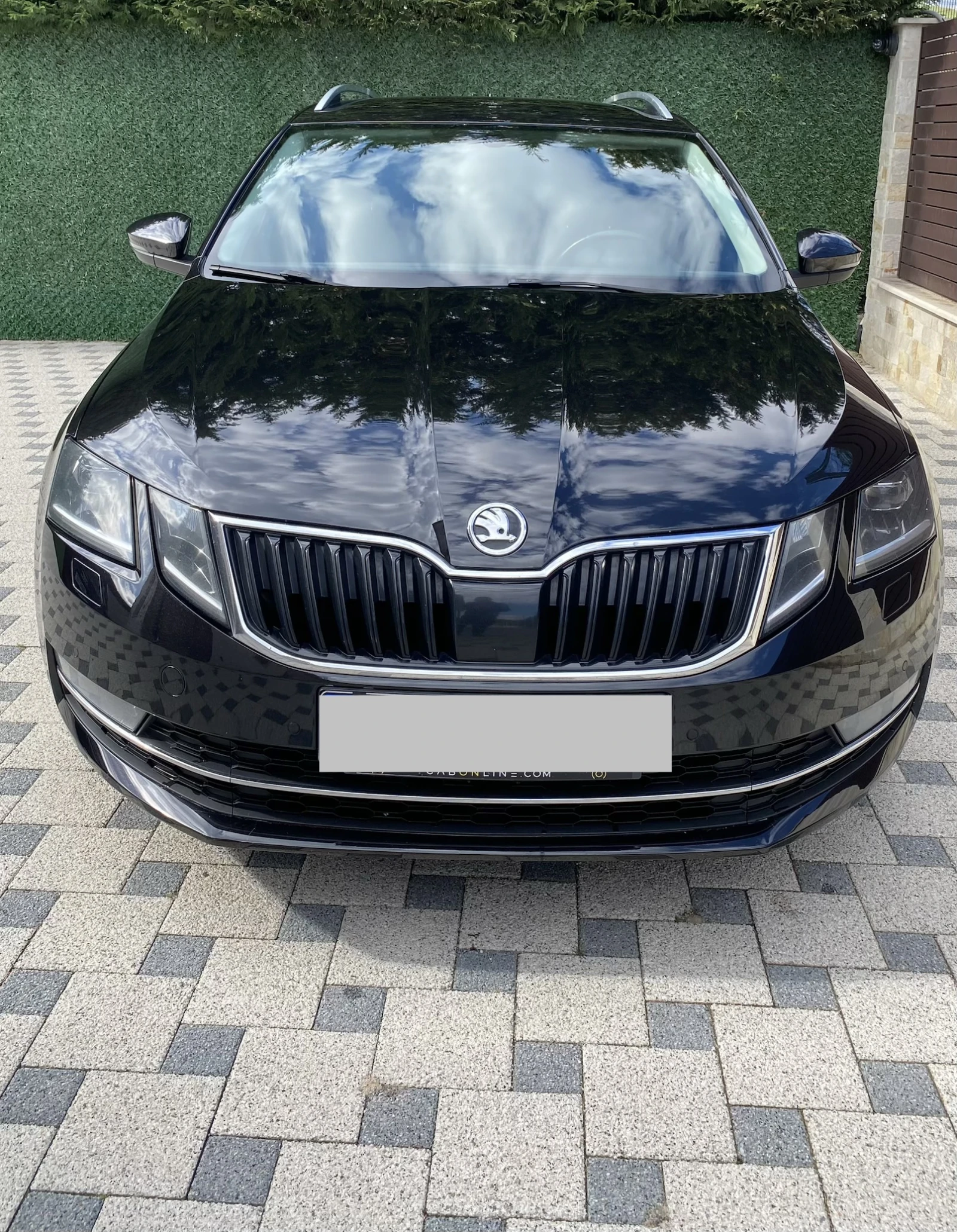 Skoda Octavia 1.5 GTEC ����� | Mobile.bg � ����������� 2