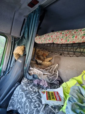 Daf Xf 95.430  | Mobile.bg    8