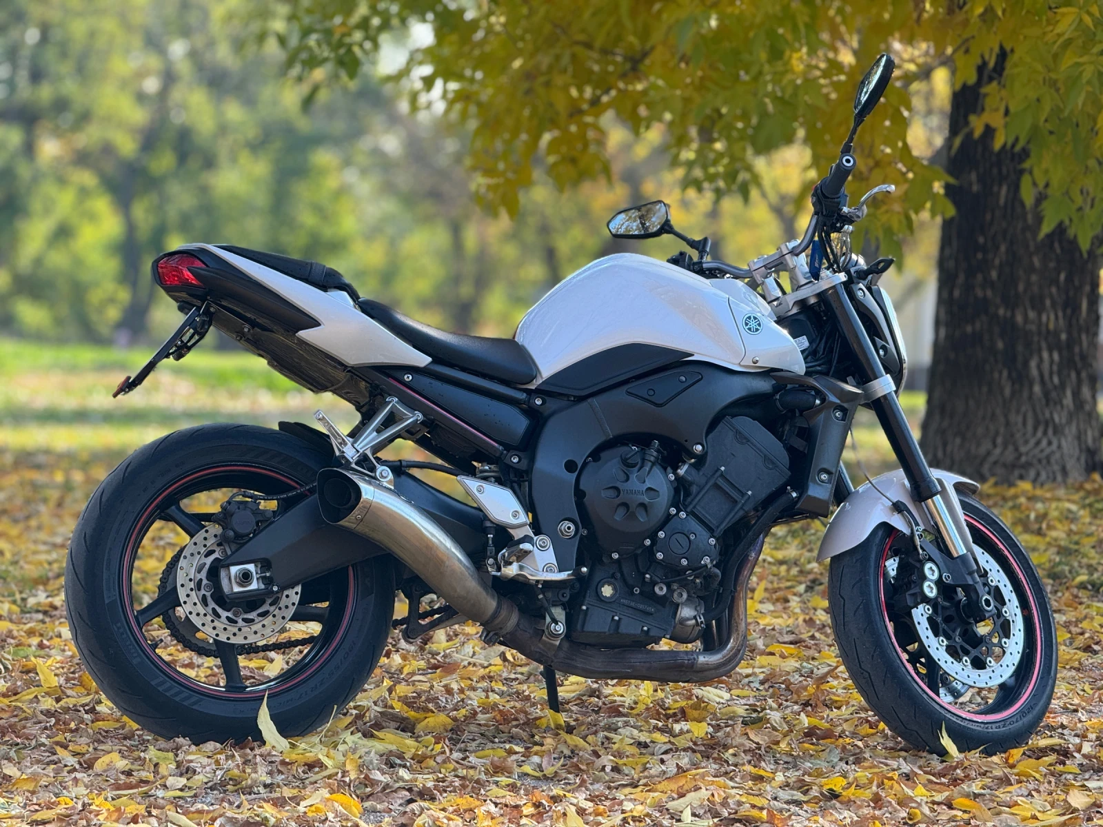Yamaha FZ1  - изображение 2