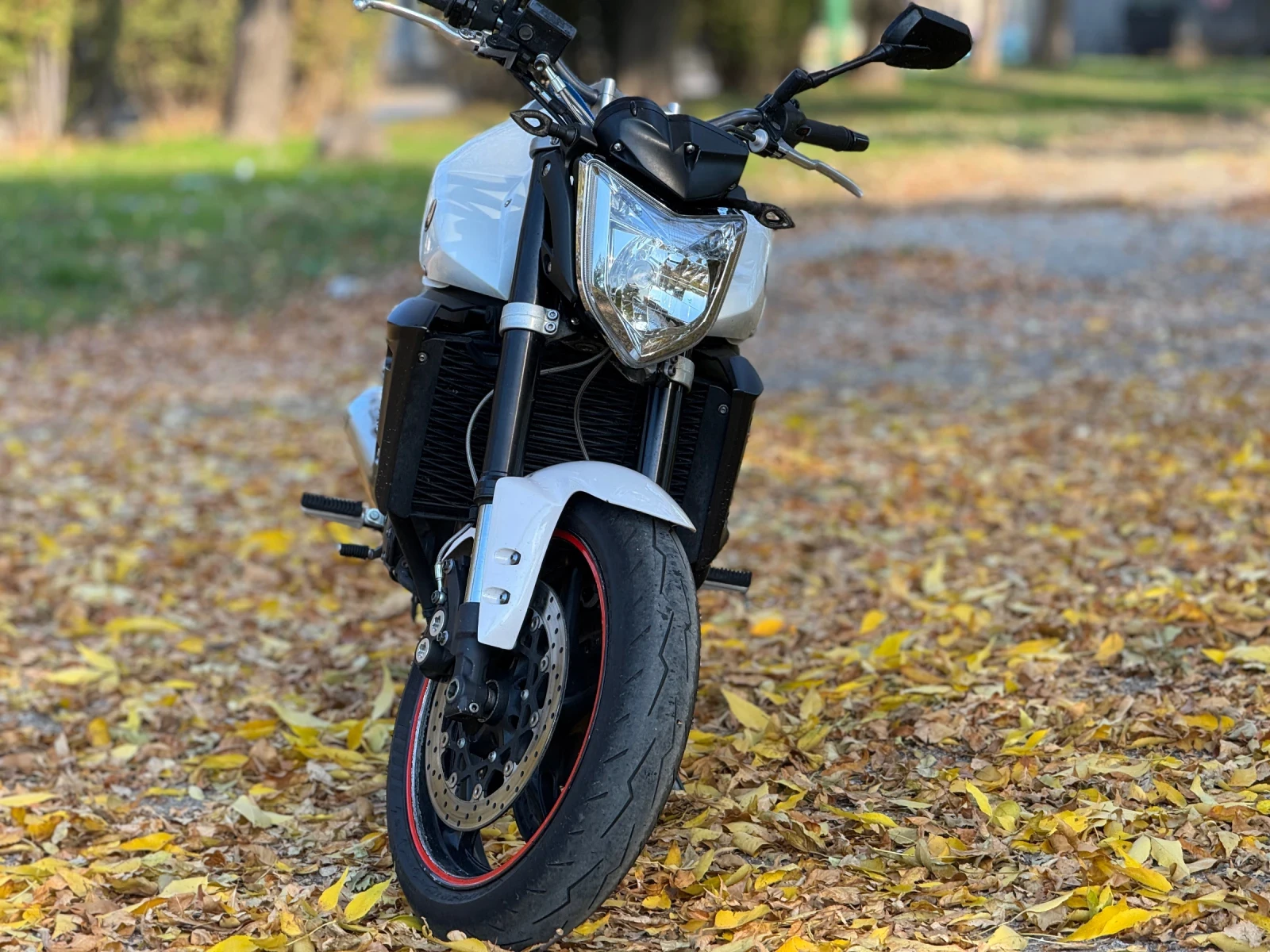 Yamaha FZ1  - изображение 7