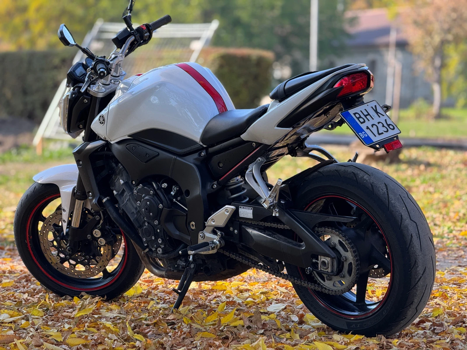 Yamaha FZ1  - изображение 4