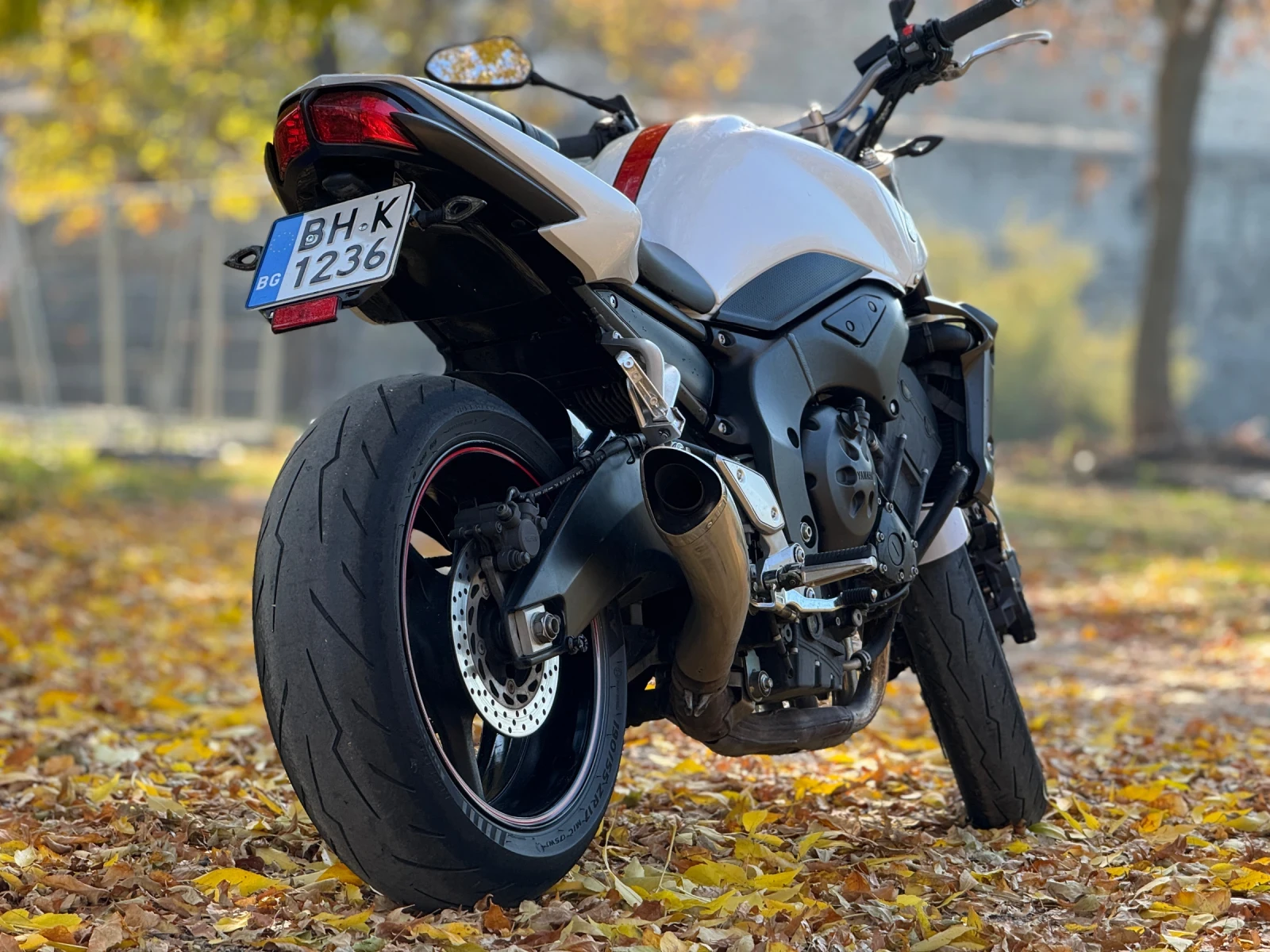 Yamaha FZ1  - изображение 3
