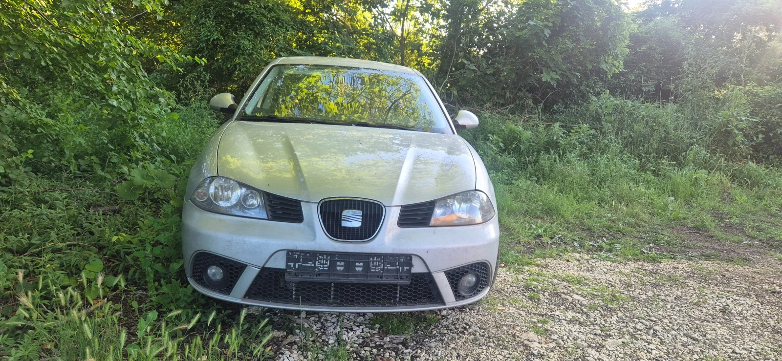 Seat Ibiza, снимка 15 - Автомобили и джипове - 55537813