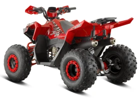 Barton ATV 125 cc 3+ 1 . | Mobile.bg    6