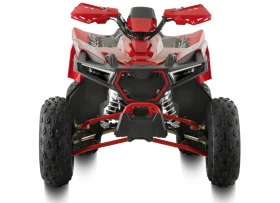     Barton ATV 125 cc 3+ 1 .