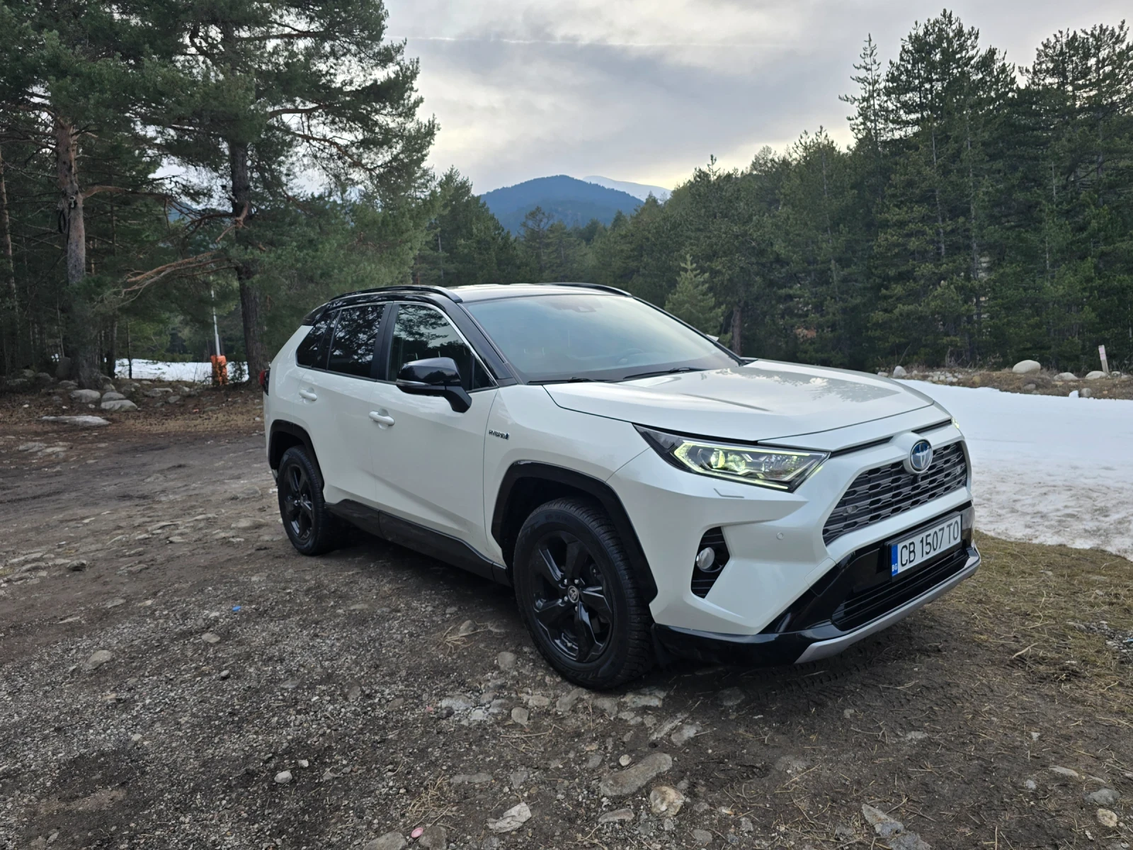 Toyota Rav4