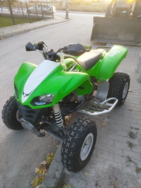     Kawasaki Kfx 700 2008