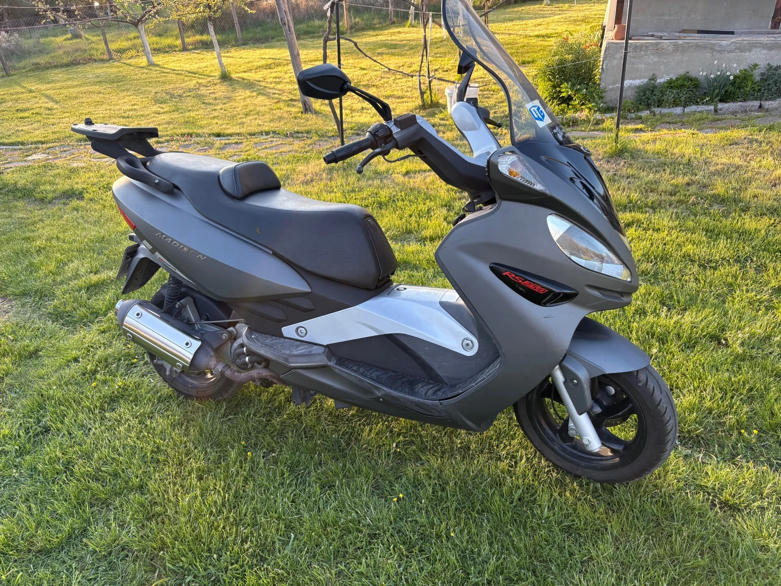 Malaguti Madison 250 RS