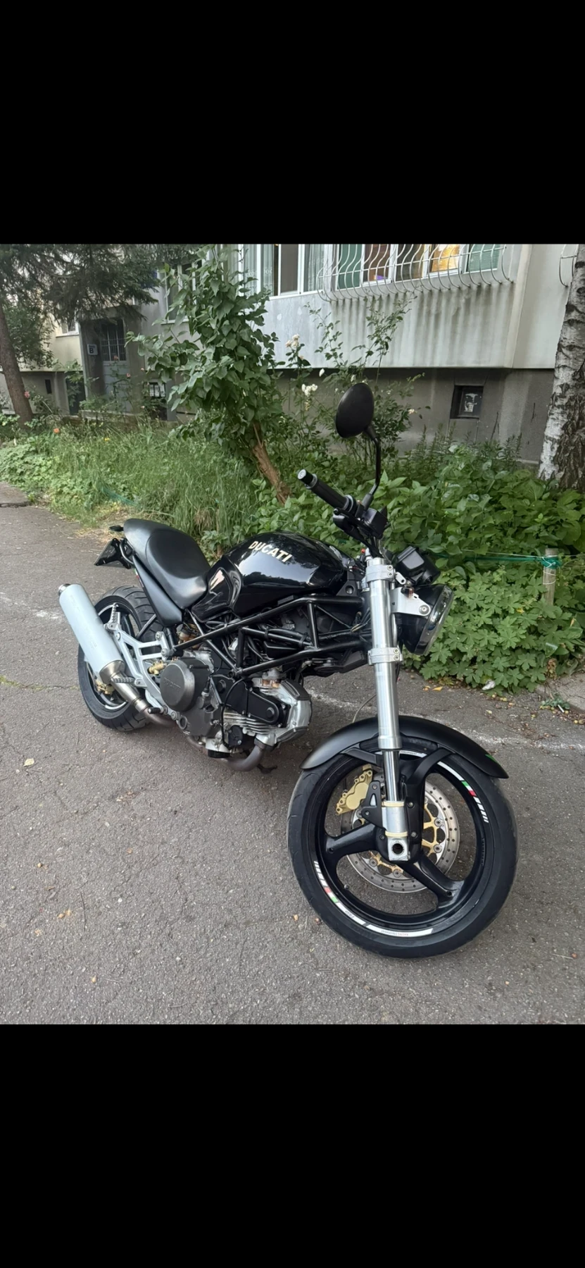 Ducati Monster  - изображение 3