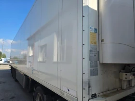      Schmitz Frigo