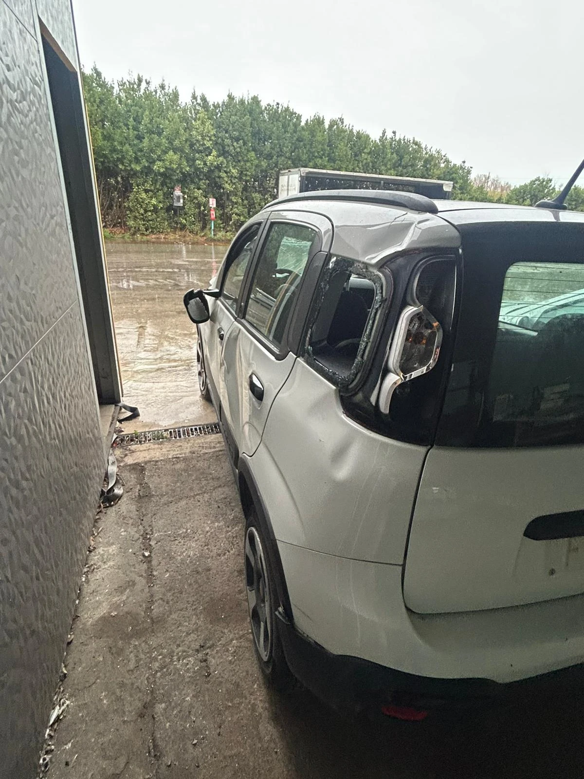 Fiat Panda Cross 1.2 benz 2019 | Mobile.bg � ����������� 2