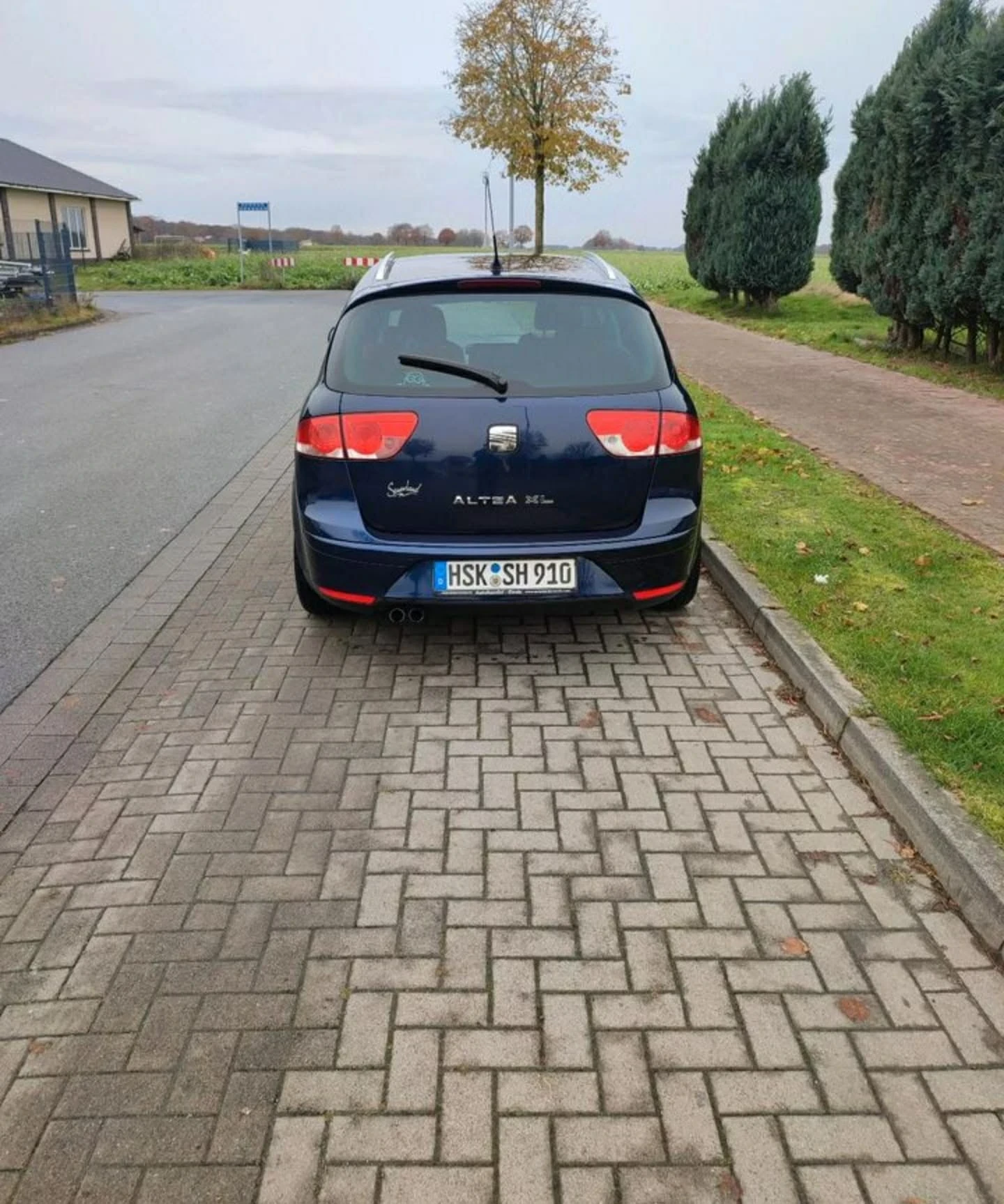 Seat Altea, снимка 12 - Автомобили и джипове - 53910016