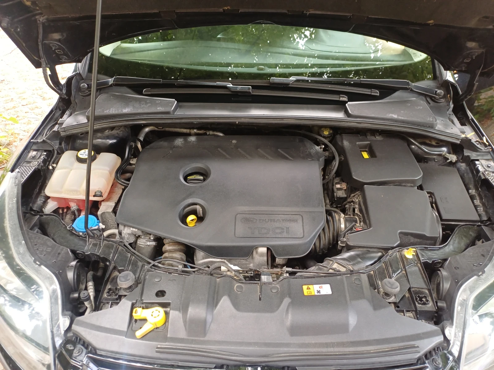 Ford Focus 1.6 tdci, снимка 11 - Автомобили и джипове - 56123887