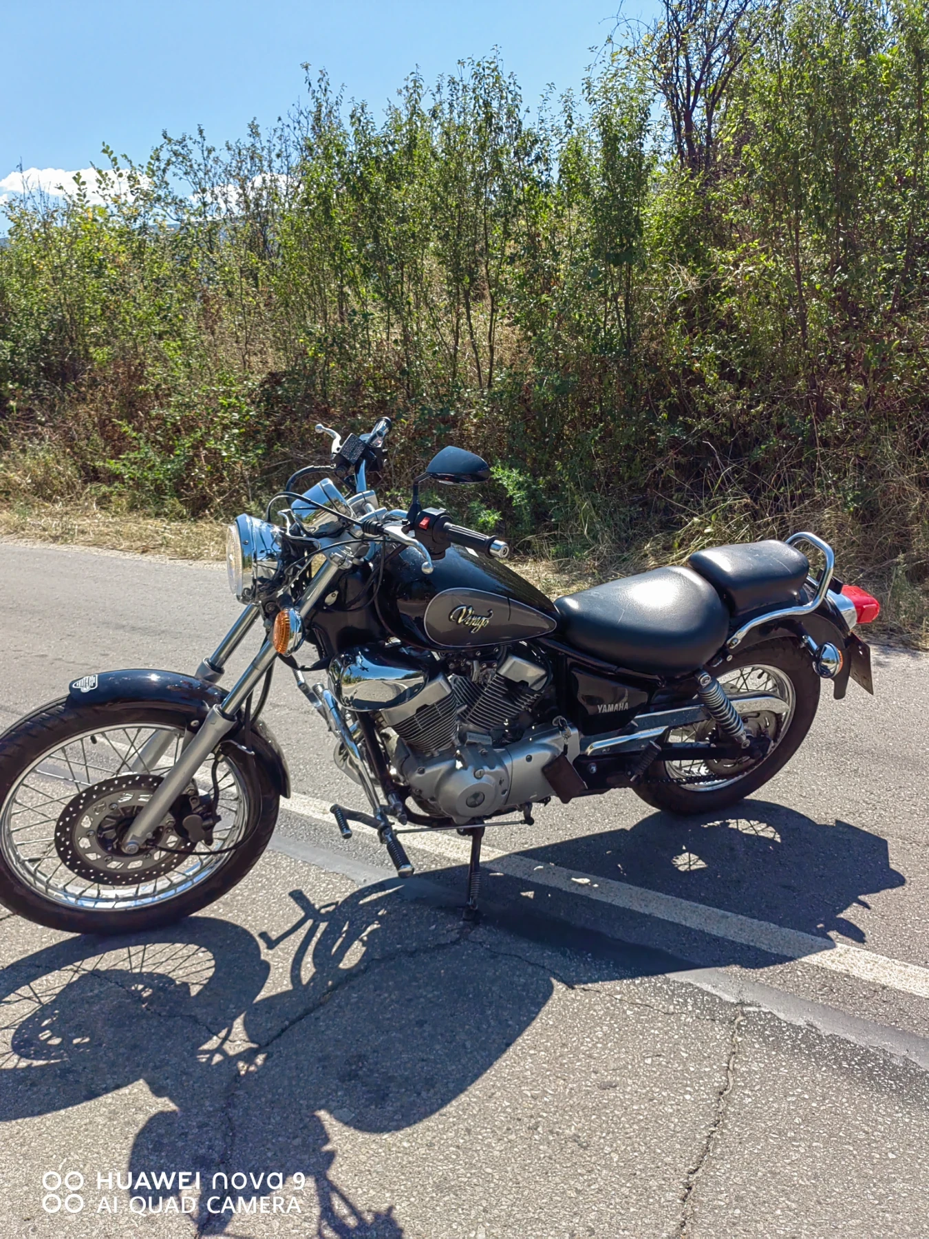 Yamaha Virago A1 - изображение 6