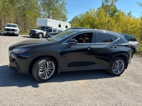 Lexus NX 350 CARFAX * * АВТО КРЕДИТ * * - 67500 лв. - 91034689 3