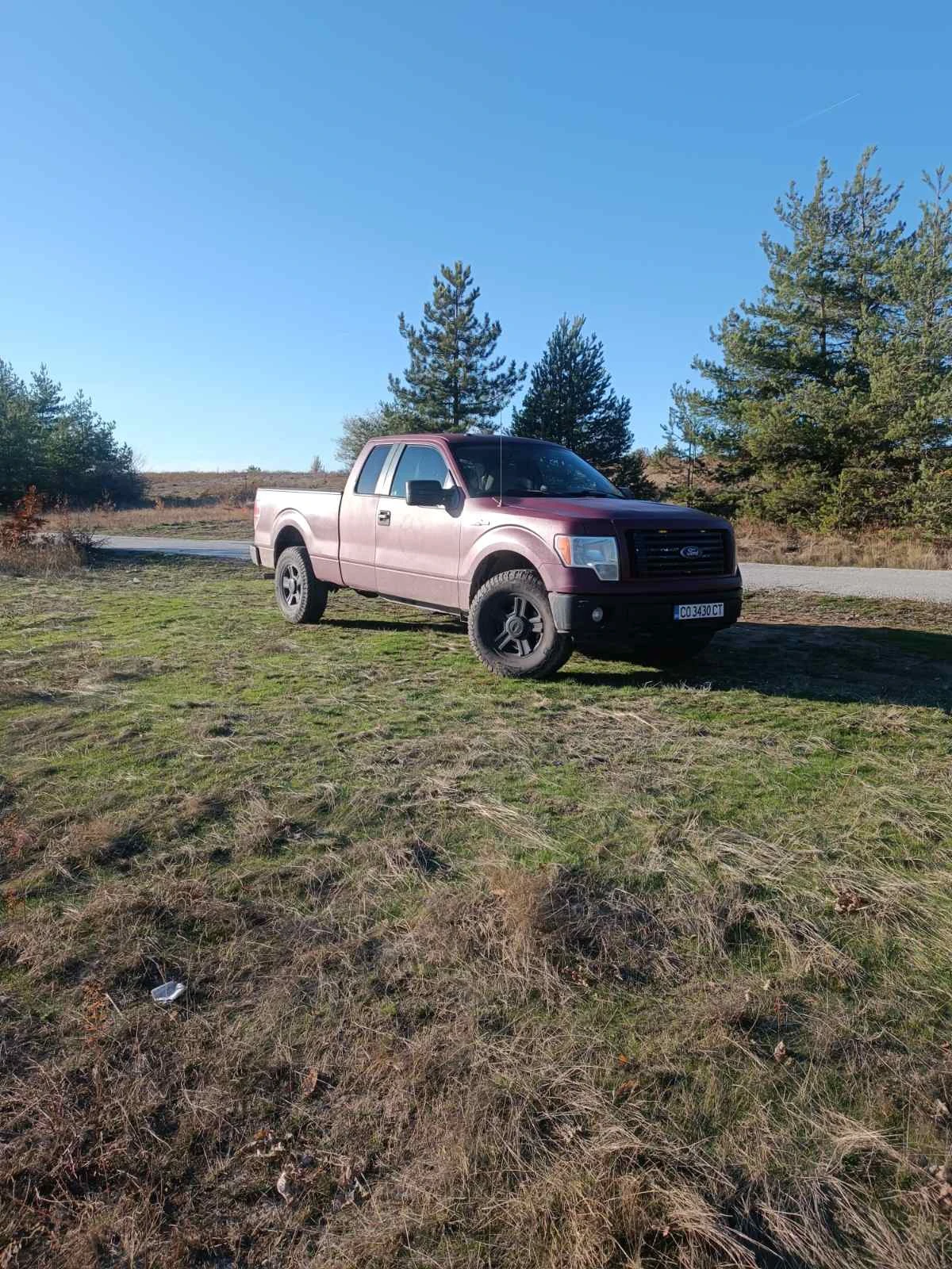 Ford F150 5, 4 ГАЗ - изображение 4